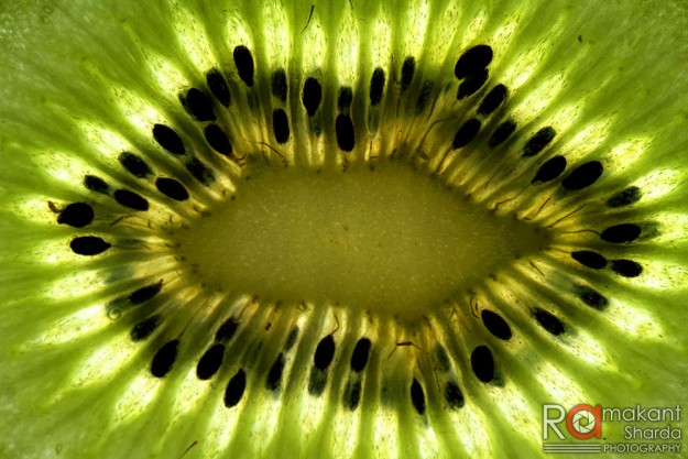 Kiwi Fruit